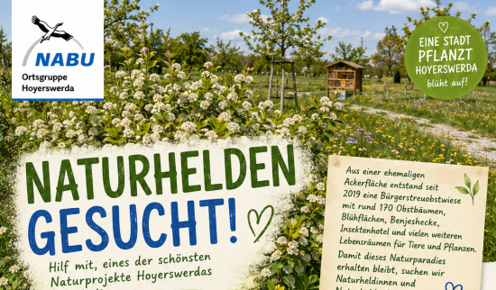 PLakat Foto: KI generiert